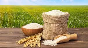 کاهش قیمت برنج در راه است