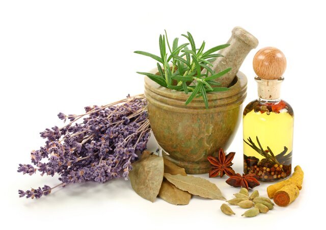 توسعه کشت گیاهان دارویی در استان زنجان؛ راهکاری پایدار در مواجهه با کم‌آبی
